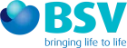 BSV - A Mankind Group Company